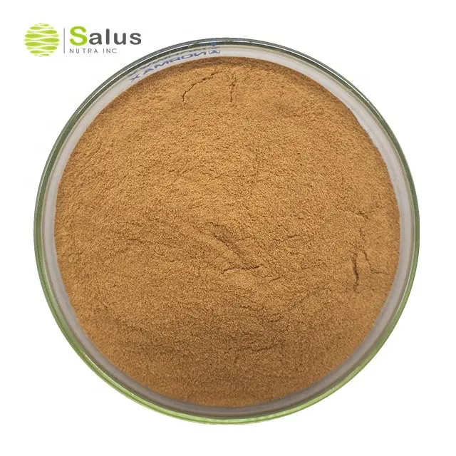 Factory Wholesale Polysaccharide 30% Lions Mane Powder