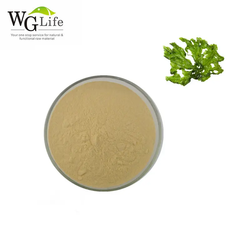 Factory Supply Hoge Kwaliteit Natuurlijke Kelp Zeewier Extract Poeder Fucoidan Voor Koop Plantenextract