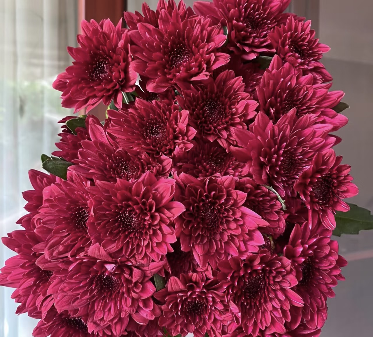 Red dante 10