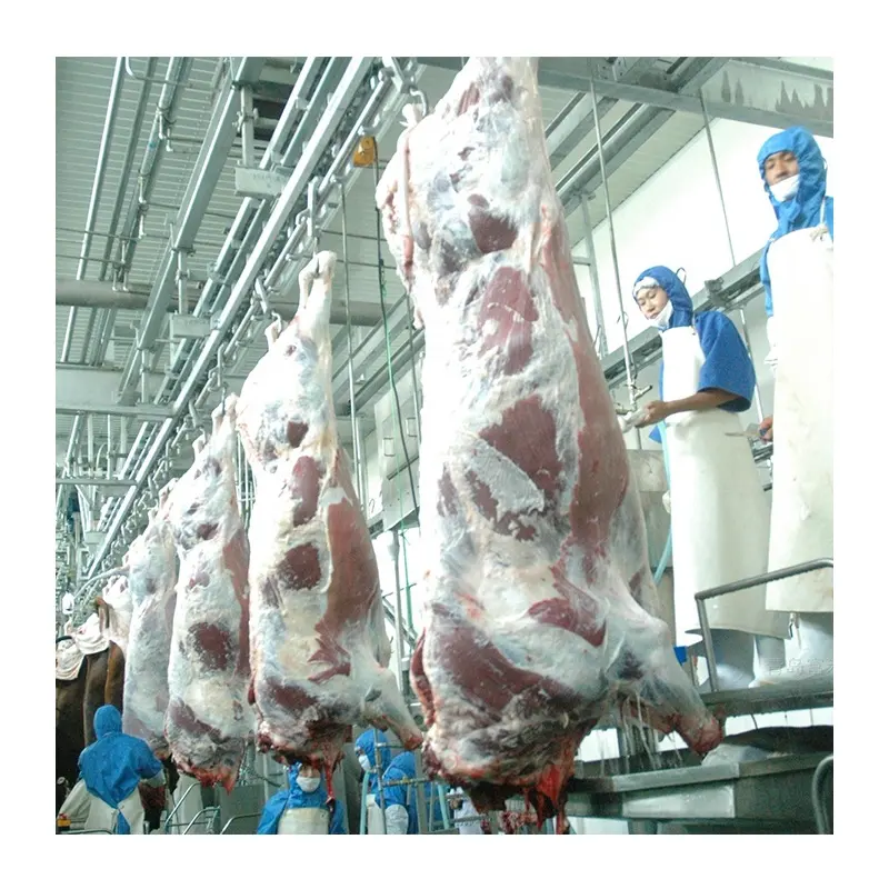 Peralatan Abattoir Turnkey, peralatan pemotongan sapi sapi