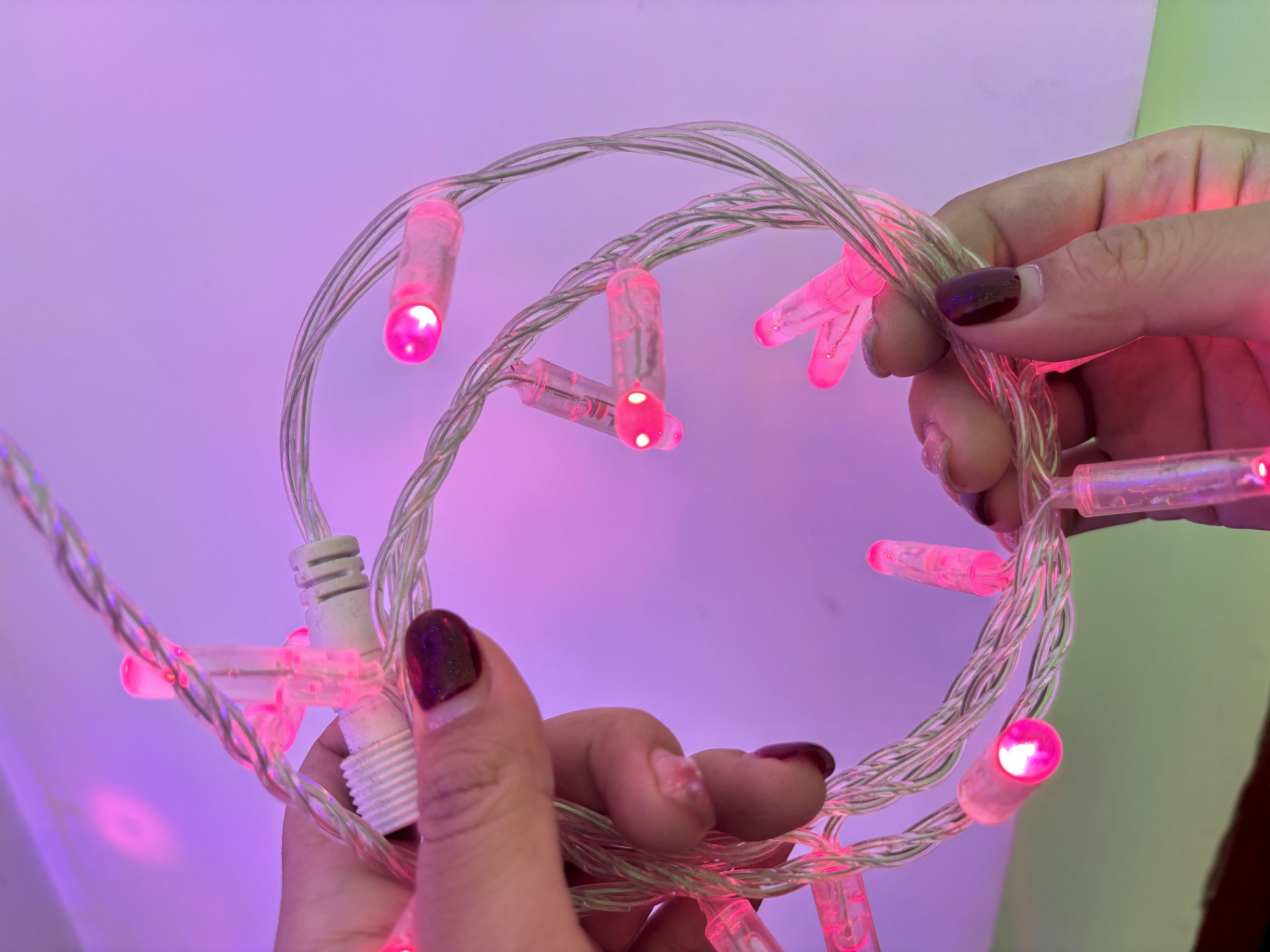 Rosa