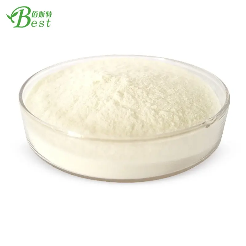 High quality Pure Food Grade fish oil dha powder capsule DHA Algal Oil Powder