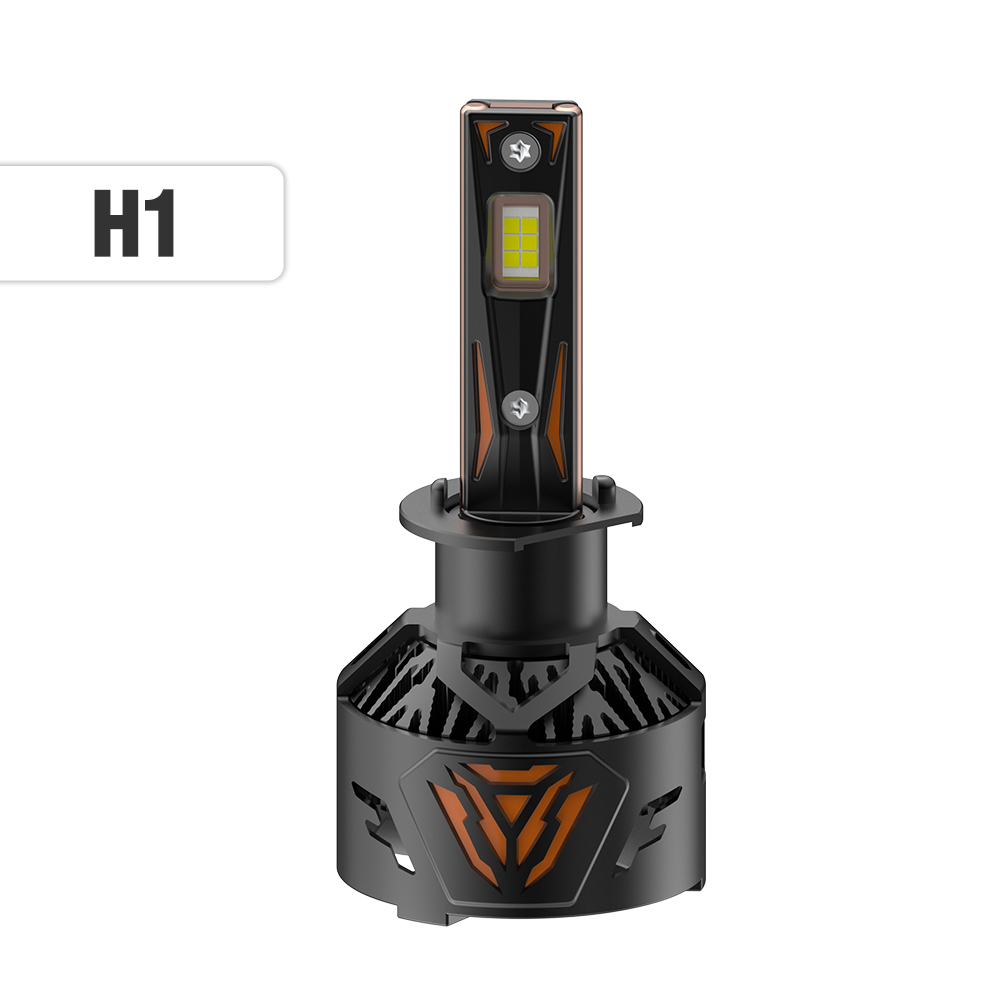 H1