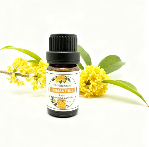Huile essentielle d'aromathérapie d'osmanthus