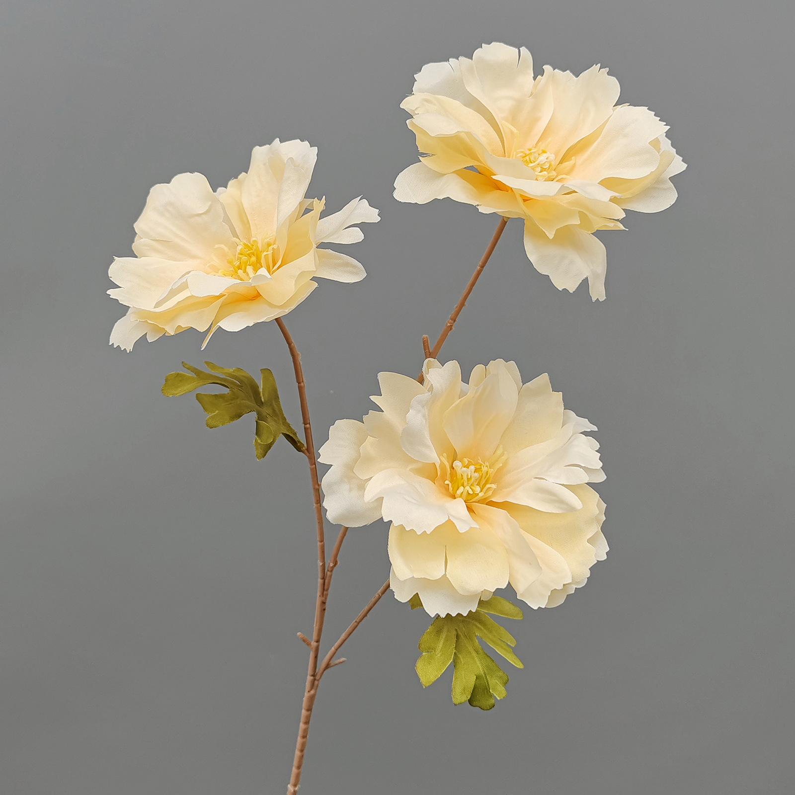 Lanxi-Champagne-65cm