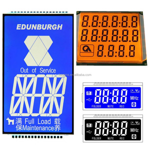 Custom Professional Medical Instrument 7-Segment <strong>LCD</strong> <strong>Display</strong> Cog Type with ST7789 Driver IC - Product Image 4
