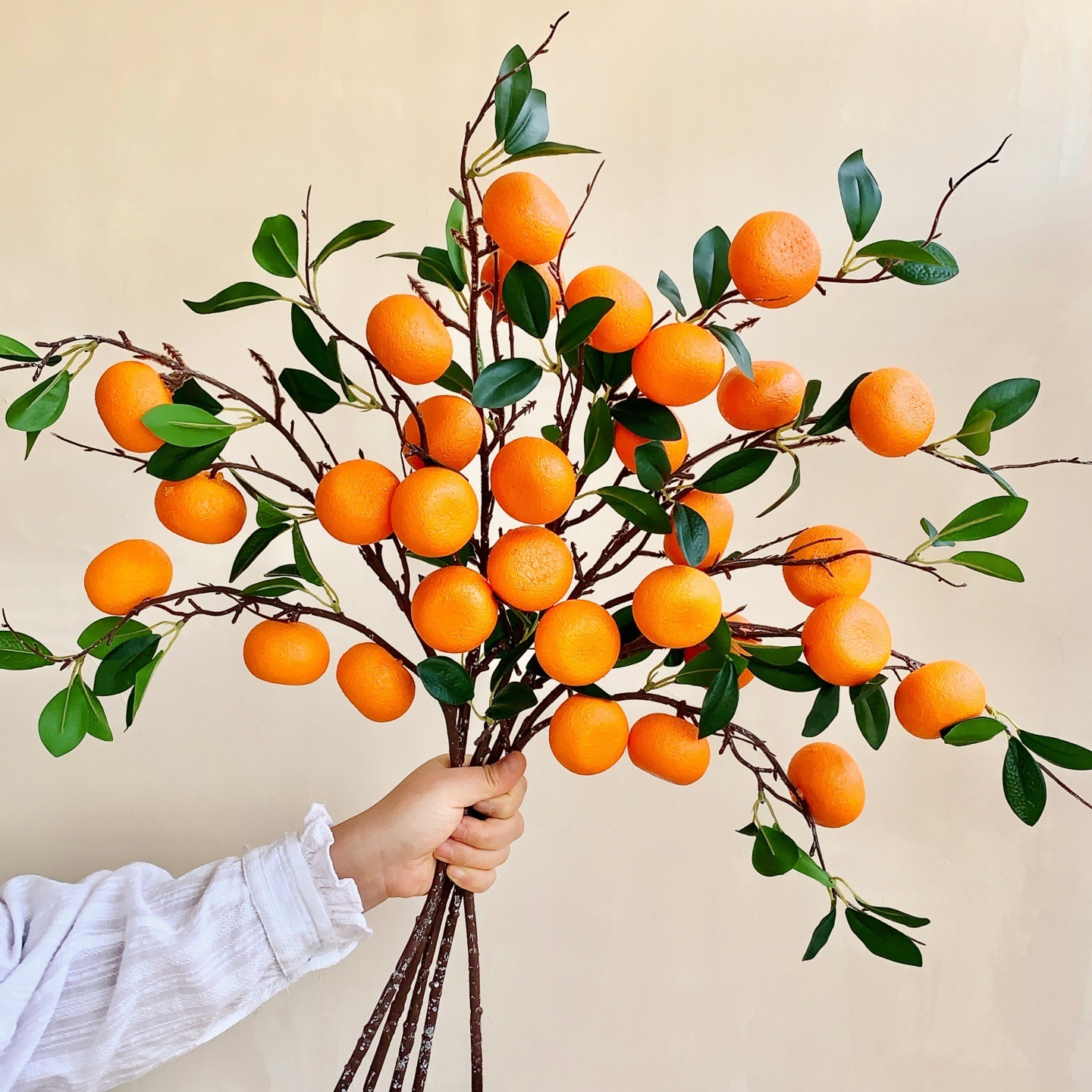 6 naranjas 5