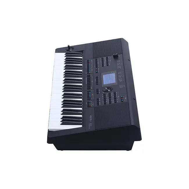 MEDELI-teclado Organizador Profesional A900, instrumento eléctrico original, 61 teclas, 2023