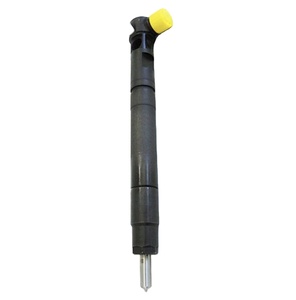 Инжектор Common Rail EMBR00301D для Delphi - Product Image 2
