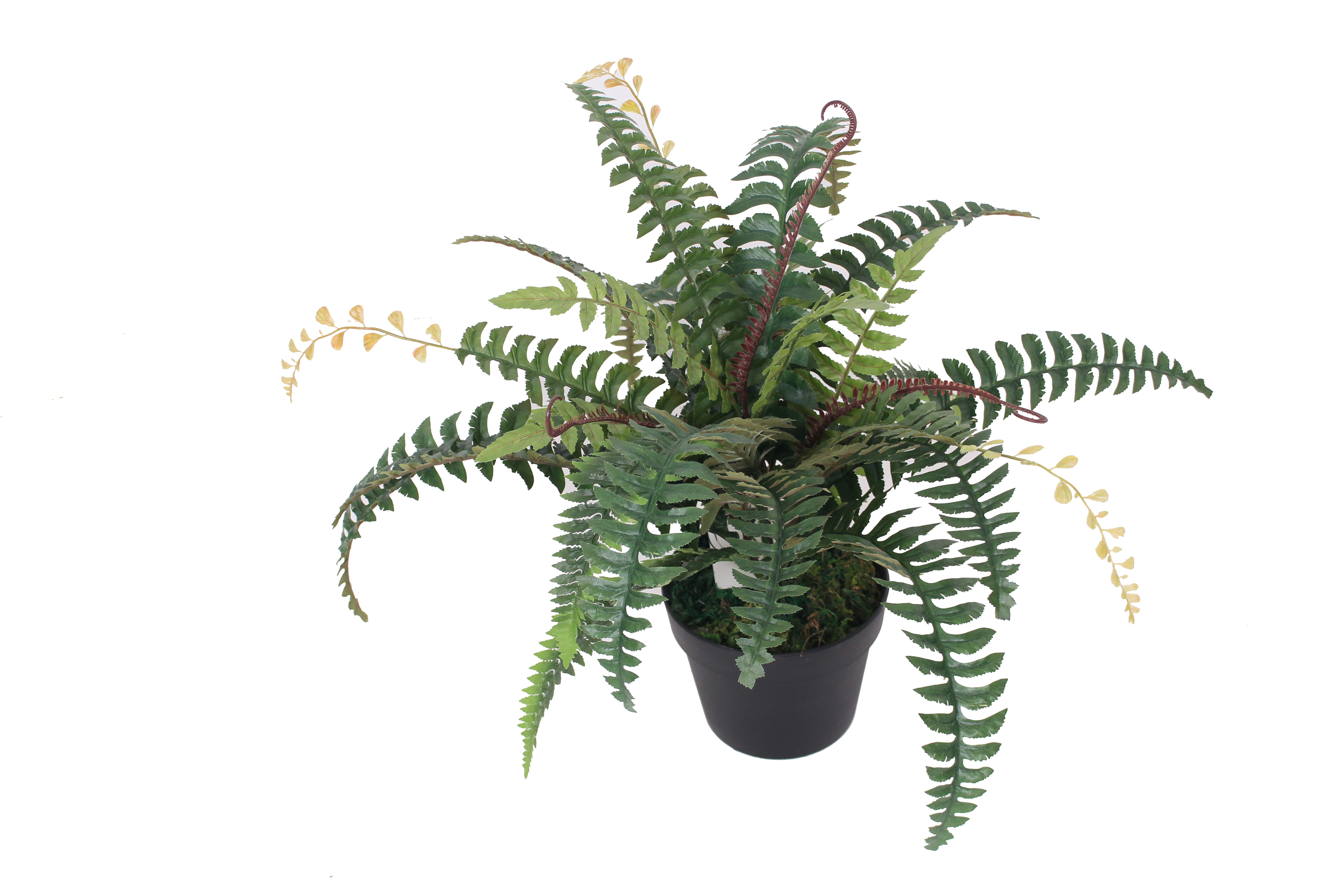 กองทัพสีเขียว