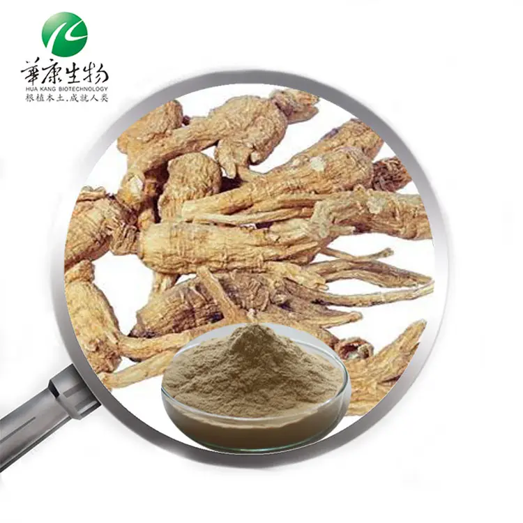 Extrato de raiz de genseng dong quai liguilides/ferulico ácido angélico sinensis