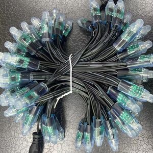 Рождественский полноцветный 12 мм пиксельный светодиодный модуль DC5V/12V для длинного уличного и садового освещения - Product Image 2