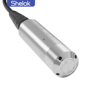 Shelok中国供应商旺源Wp311b分体式浸入式静水压力传感器4-20Ma水位计
