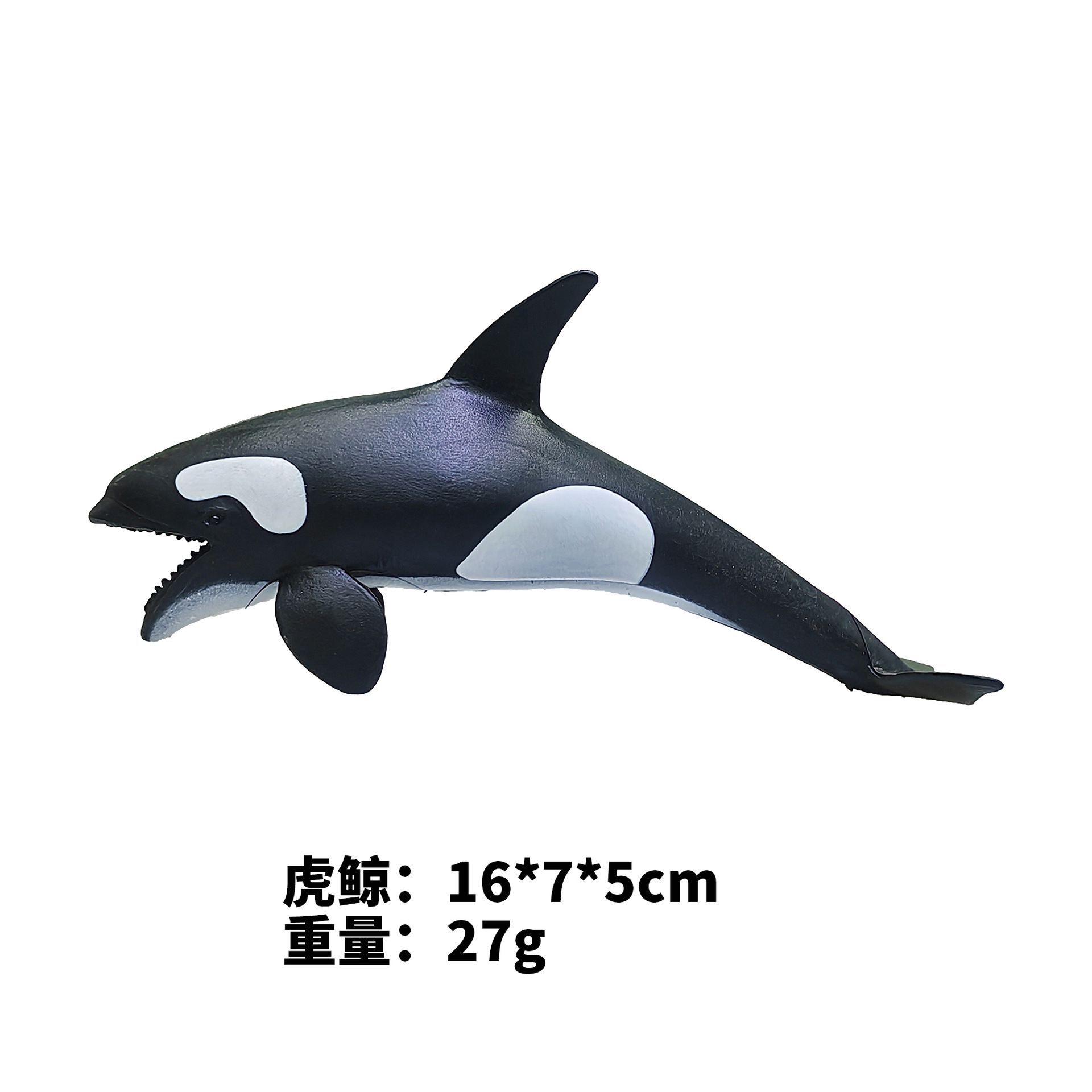 Killer Whale