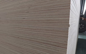 Tahan air kayu lapis lembar 4x8 12mm kayu lapis pinus dengan pelapis Om kayu lapis untuk Mandir - Product Image 5