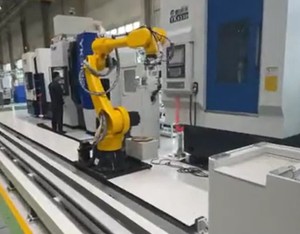 35kg carico utile 1700mm braccio robotico Robot articolato Robot industria per il carico e lo scarico - Product Image 6