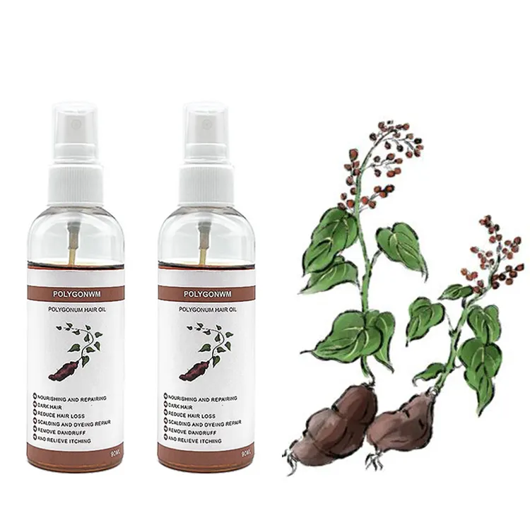 Lançamento de novo produto Polygonum Multiflorum Essência Planta Natural Reduz a Perda de Cabelo Fluido Nutritivo