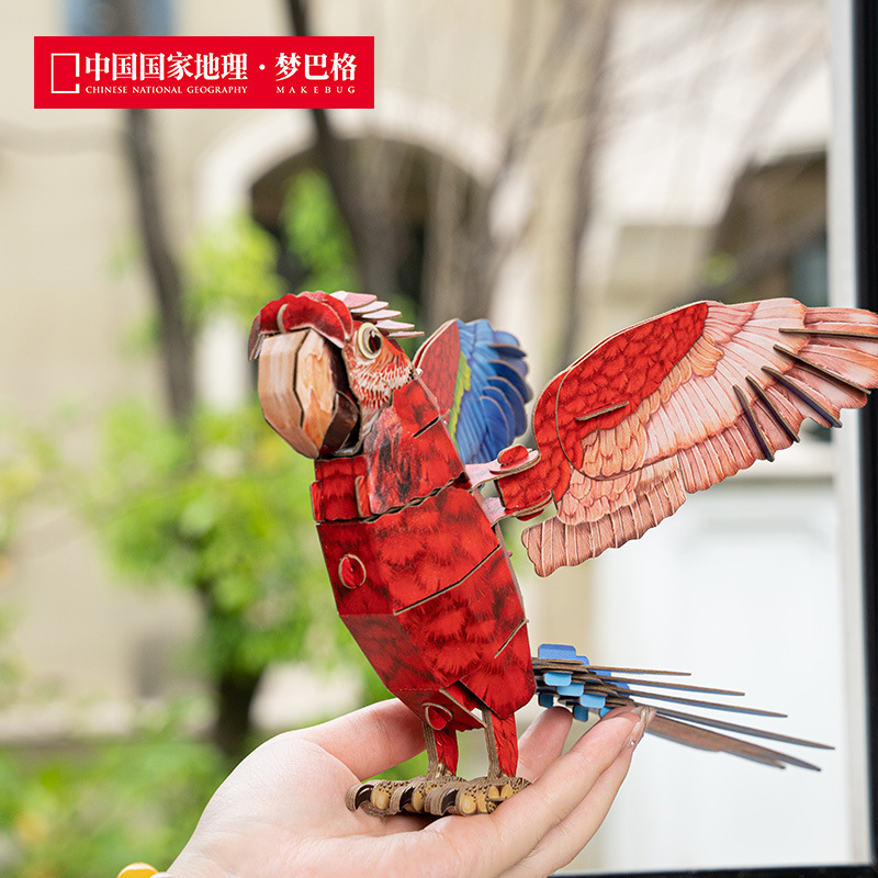 Red and green macaw-slb0012
