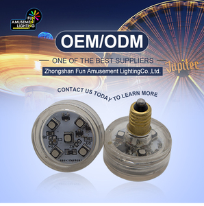 IP65 E10 SmdRGB自動実行40MMAC24V事前にプログラムされた公園用LEDアミューズメントライト - Product Image 1