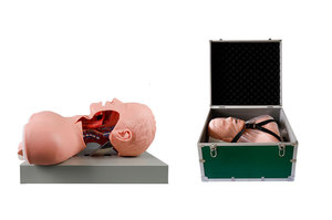 Advanced Intubation Alarmed <strong>Human</strong> Patient Simulators Training Manikins - Product Image 3