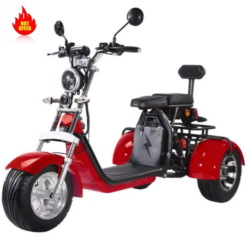 US EU stock Three Wheels Big Tire Trike Adult Tricycle 60V 2000W Eec Certificate citycoco electric scooter germany
