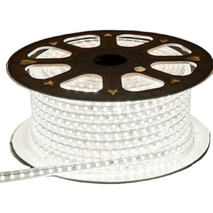 高电压220V SMD 5050 RGB led灯条60LED 1m削减50M/卷遥控器 - Product Image 1