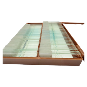 显微镜载玻片生物学教育工具包，生物学自然 - Product Image 5
