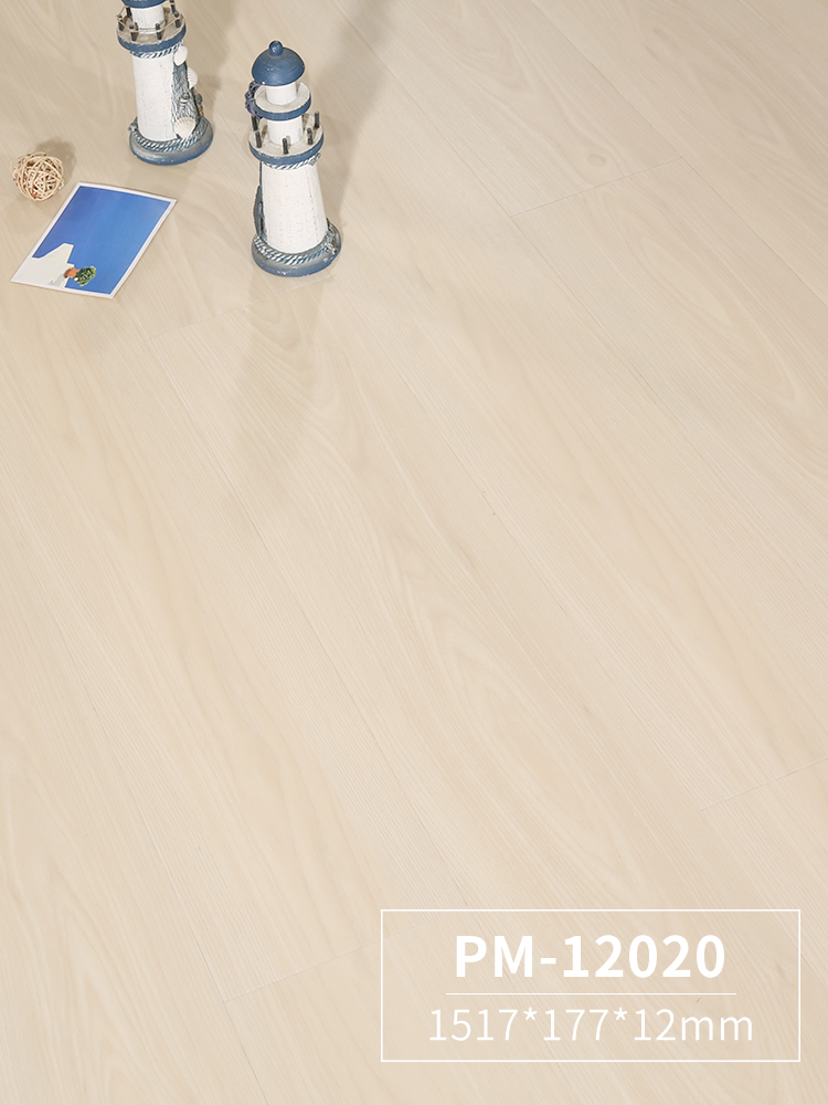 PM12020