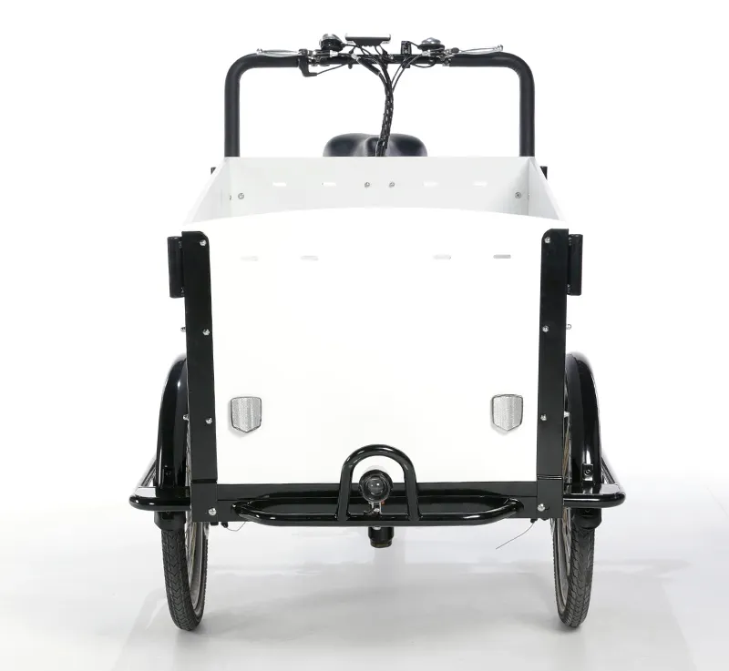 Triciclos eléctricos de carga de 3 ruedas de diseño de moda, bicicleta de carga con Pedal para llevar