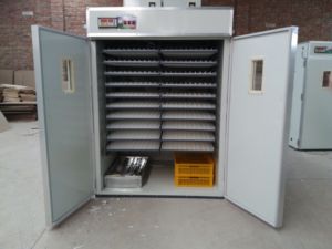 HJ-I15市販卵インキュベーター自動設定3520鶏卵インキュベーター機 - Product Image 5