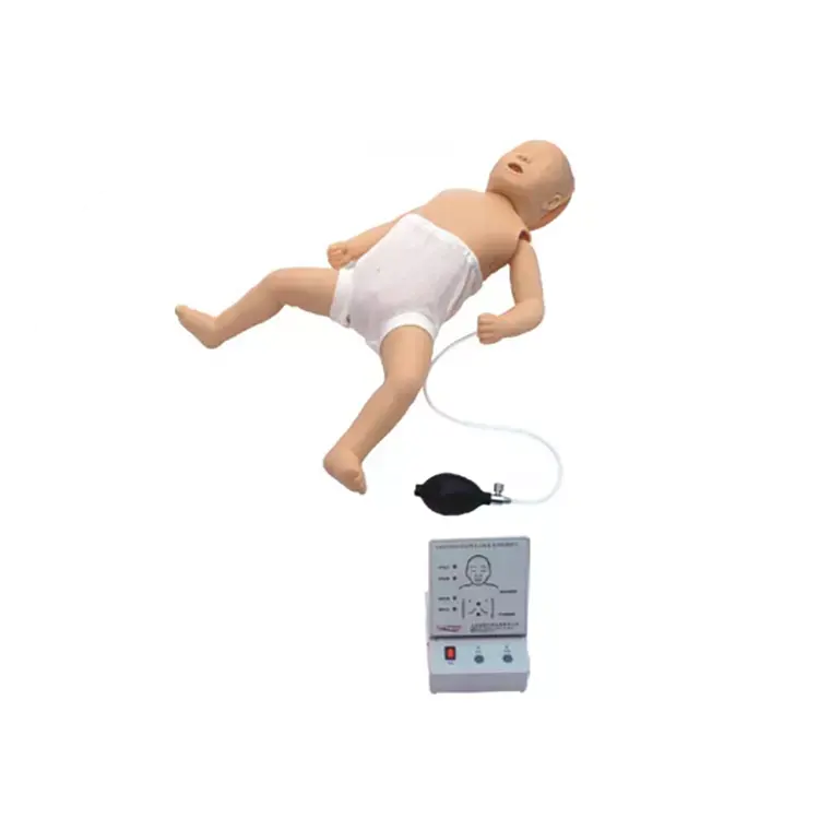 الطبية الإسعافات الأولية الرضع CPR نموذج للتدريب