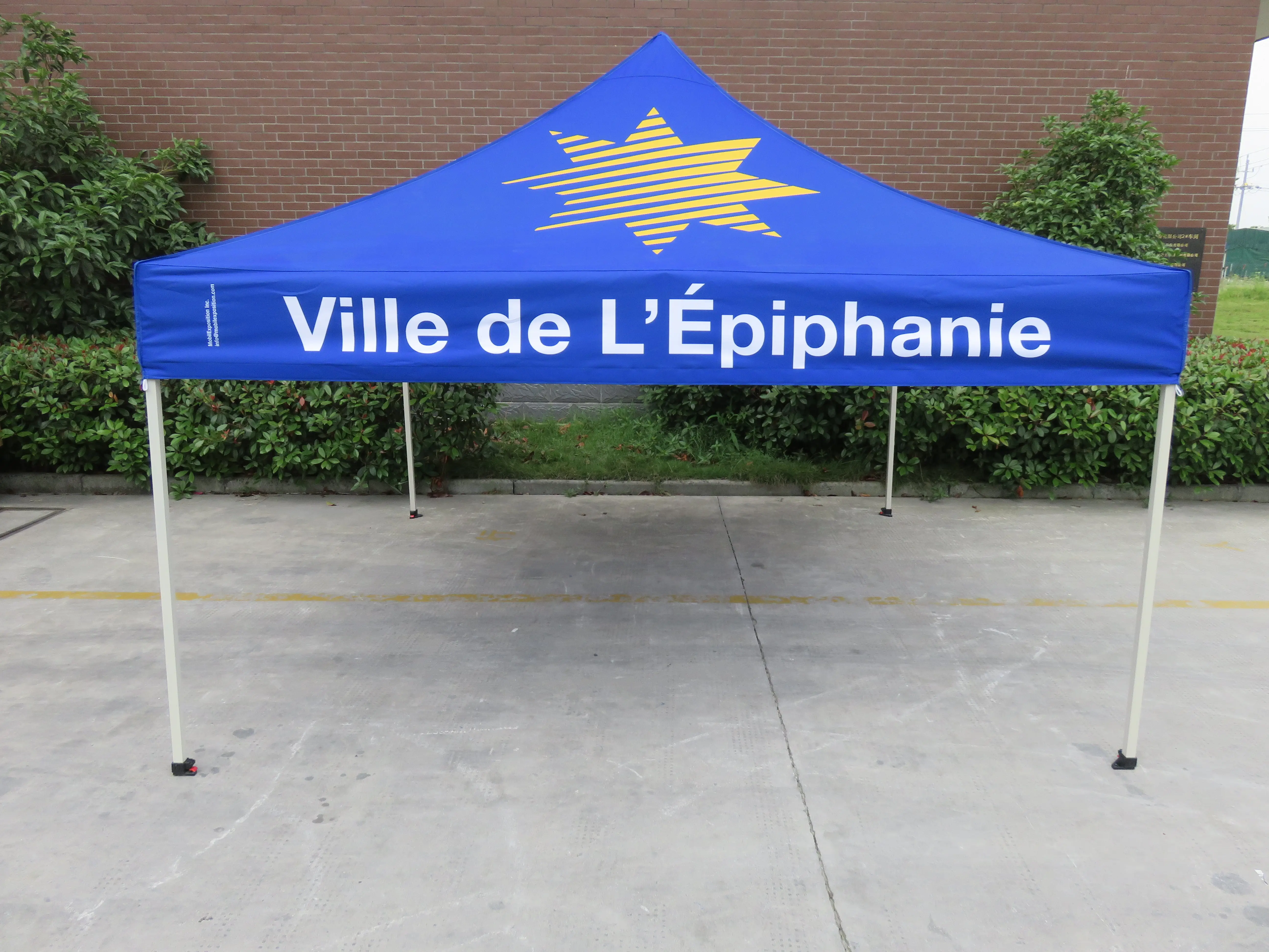 10'x10' Personalized Canopy Tent Roof   Valance Fully Printed all 4 Sides Full Color Printing