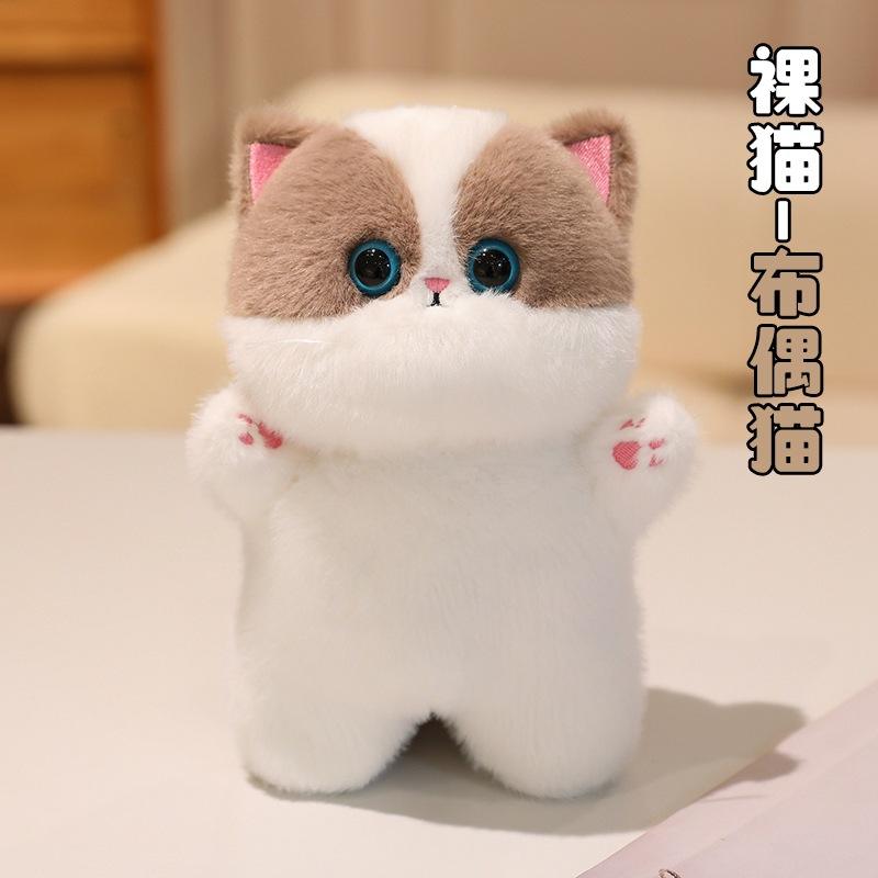 Naked cat - ragdoll cat