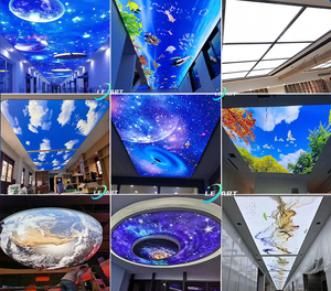 广东建材3d天空树鸟聚氯乙烯拉伸天花板薄膜电梯天花板 - Product Image 5