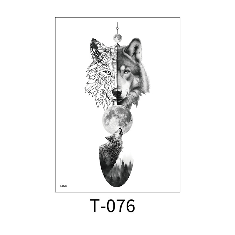 T-076