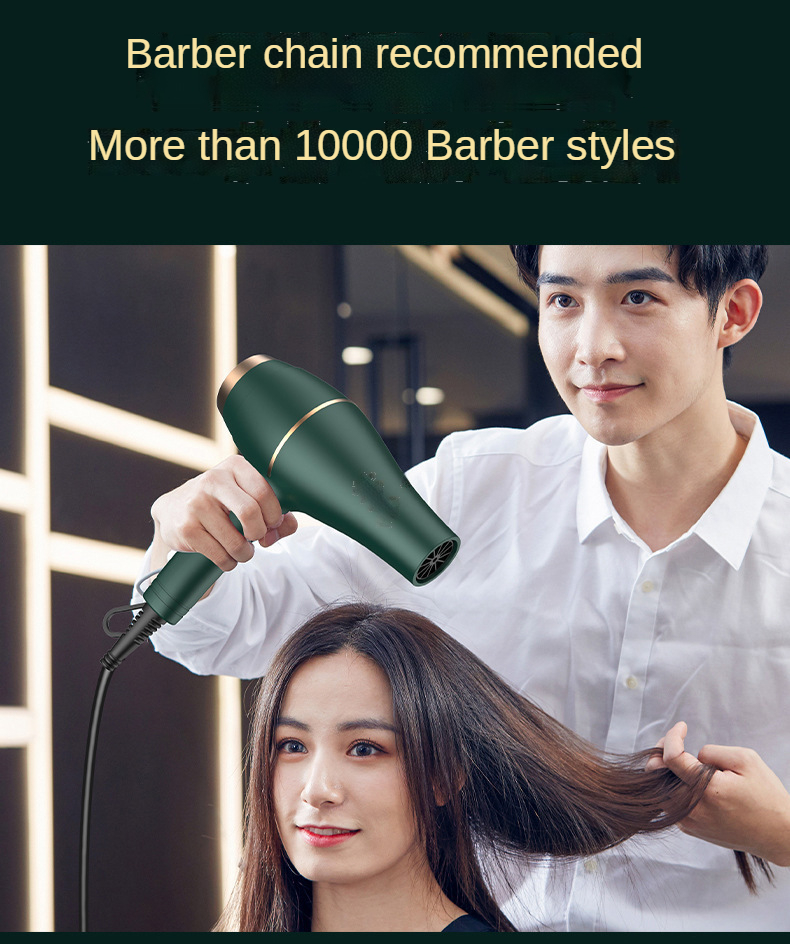 Hot Selling Salon Professional Dc Motor Concentrator/diffuser/ionic And Induction Function Professional Blow Hair Dryer