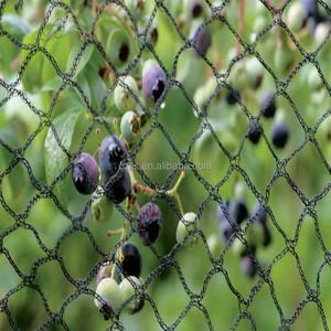 Reticolato per uccelli da giardino, - Product Image 3