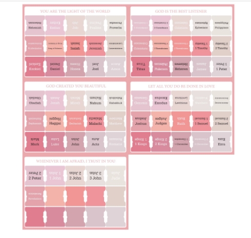 E nuovo rosa 5 fogli/borsa