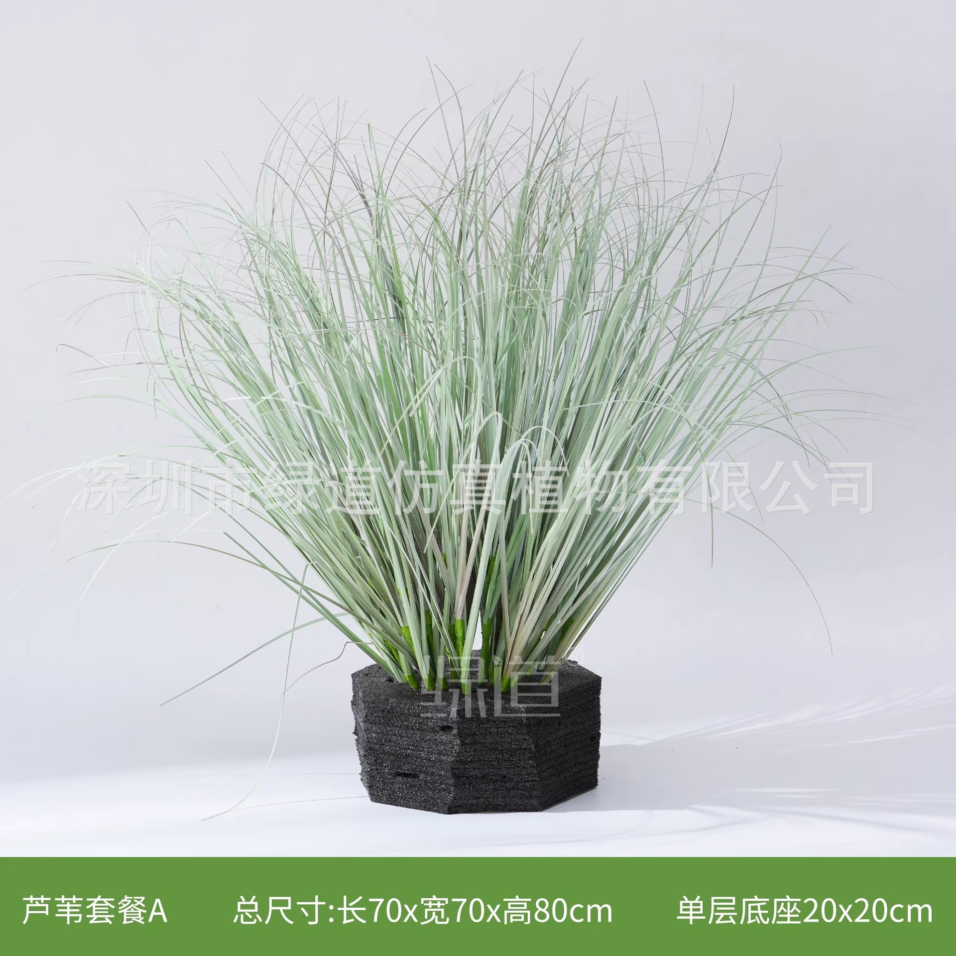 Reed A