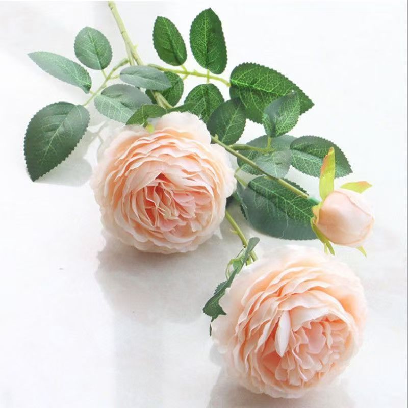 Deux fleurs de ranuncule à trois têtes couleur champagne