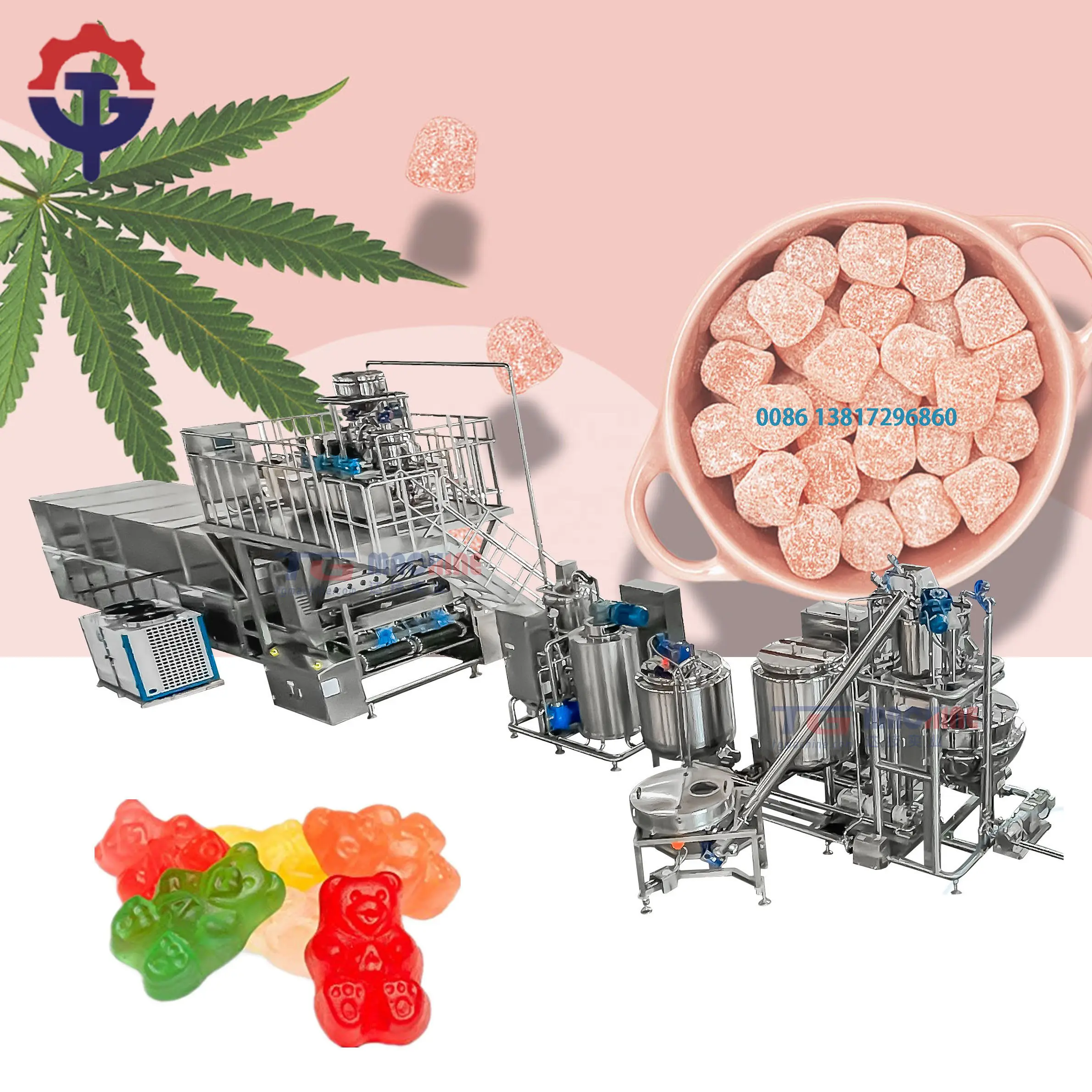 Kleine Pektin Gelee Gummibärchen Produktions linie Lutscher Bär Taffy Snack Food Maschine Petite Herstellung Bonbons