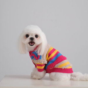 Köpekler için gümrük köpek ve insan eşleştirme giysileri gökkuşağı kazak düşük adedi tasarımcı pet giyim - Product Image 4