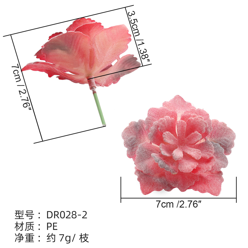 DR028-2