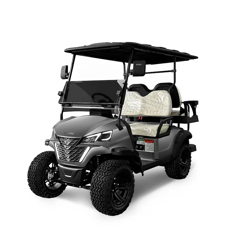 Voiturettes de golf Scooter électrique de mobilité Véhicule de golf Buggy de golf électrique