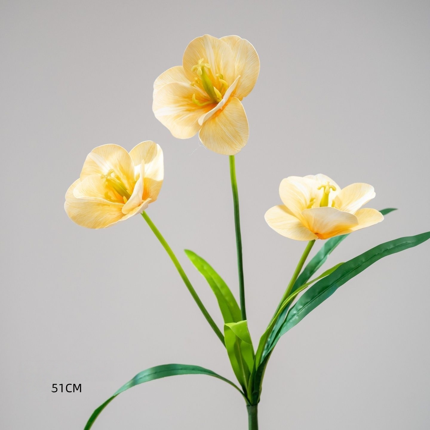 Tulipani gialli in fiore