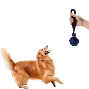 ロープ付き卸売犬のおもちゃのボール弾性ストリング犬の噛むおもちゃのボール歯のクリーニング研削