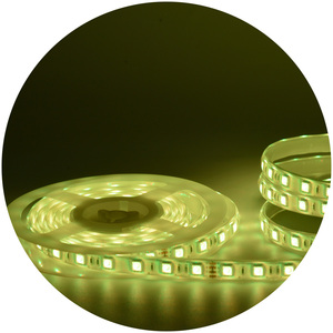 แถบไฟ LED RGB 5050 LED ความสว่างสูงสำหรับตกแต่งบ้าน DC24V DC12V IP68 IP67กลางแจ้ง - Product Image 5