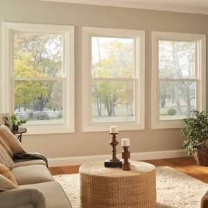 Tùy chỉnh đôi kính cường lực mỹ màu đen và trắng Vinyl Đôi Treo Cửa Sổ duy nhất treo cửa sổ để bán - Product Image 5