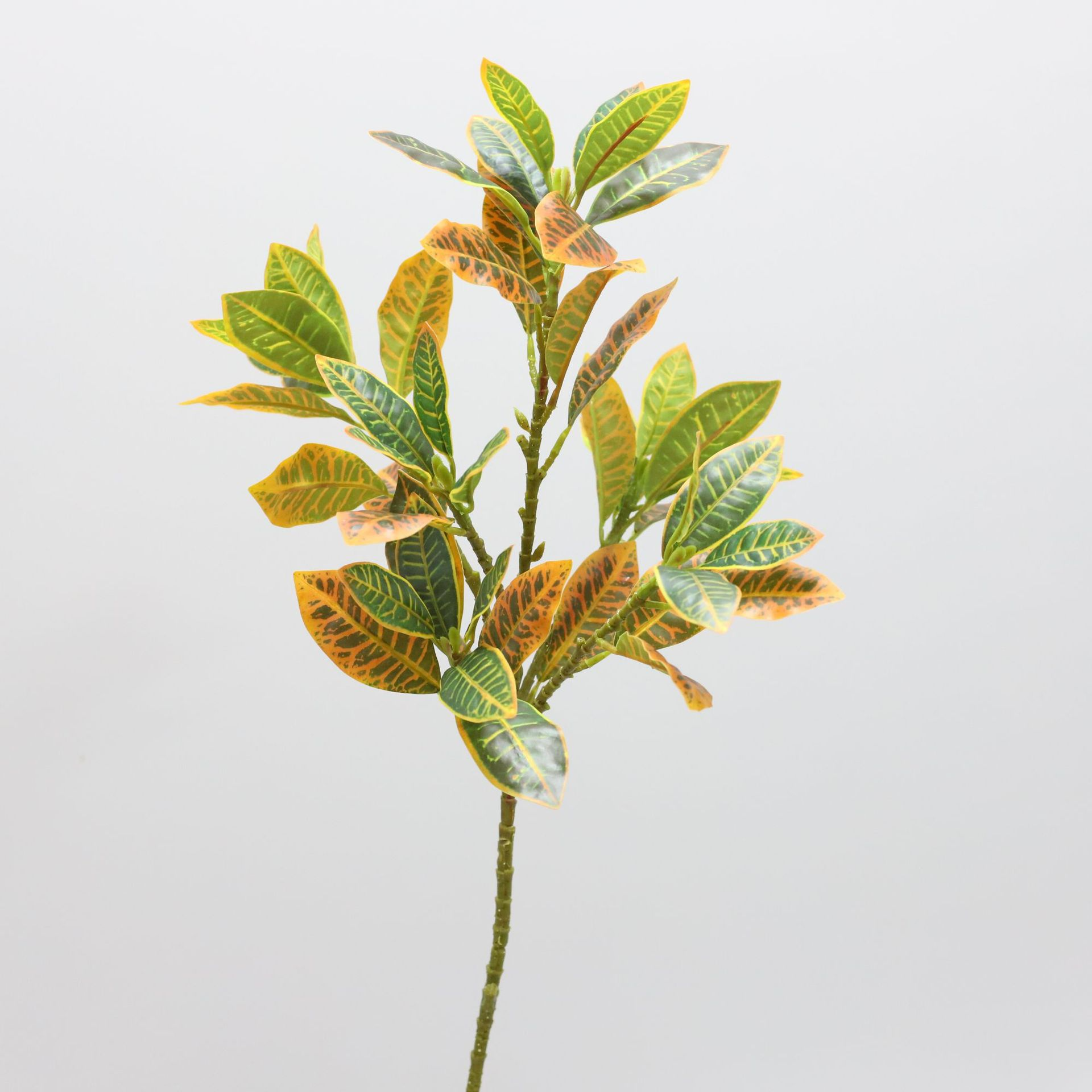 Verde-06