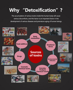 New arrivals ion cai nghiện Chân máy Spa kép ion cai nghiện <span class=keywords><strong>2</strong></span> vòng mảng và <span class=keywords><strong>2</strong></span> thắt lưng cho spa và salon - Product Image 5